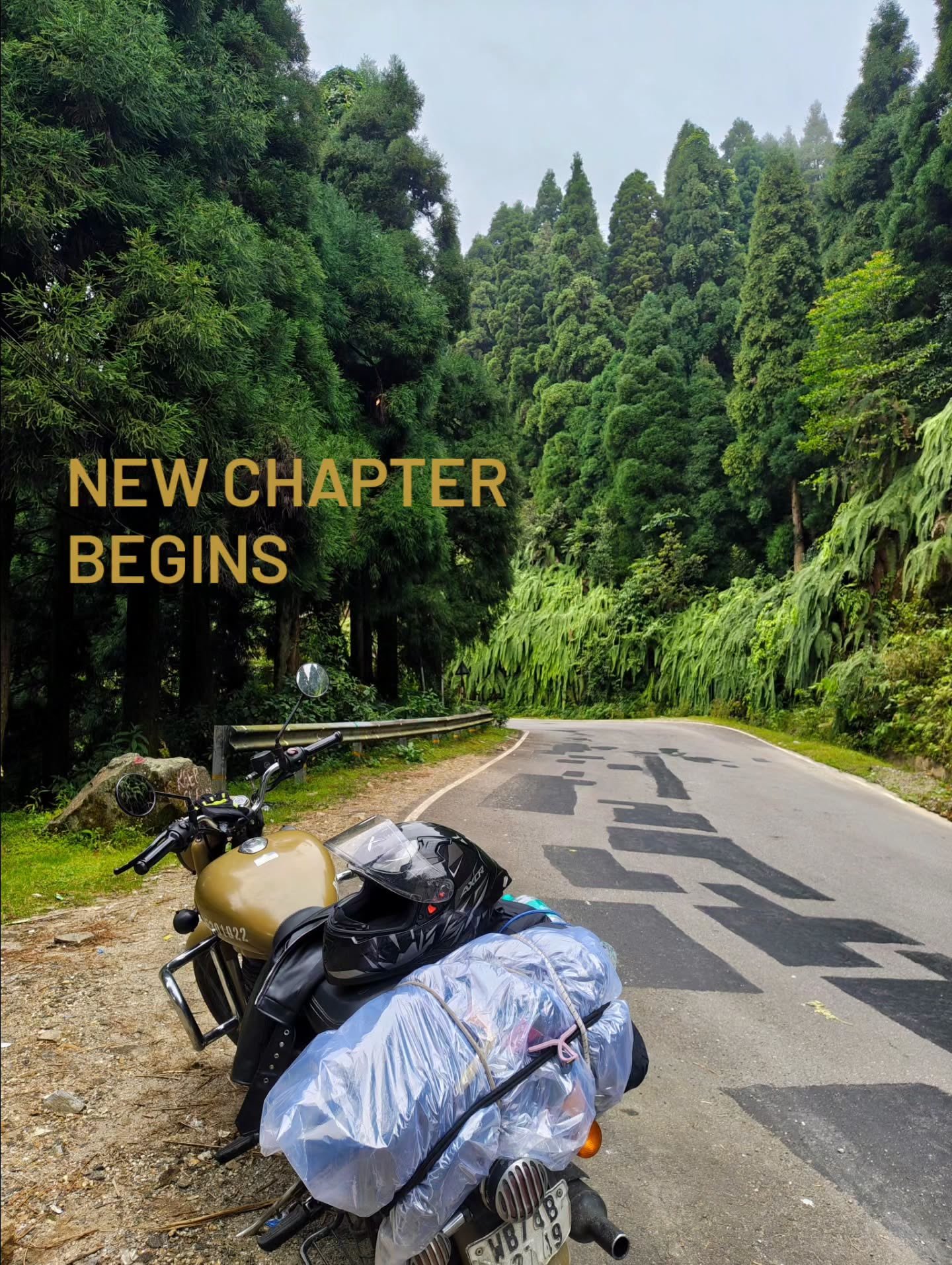 Enroute through Pine Forests